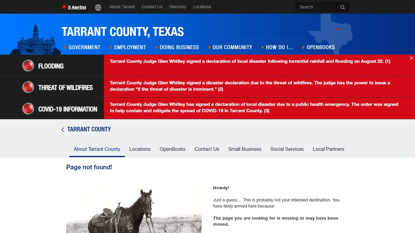 How may I obtain a copy of the Examination Report? - Tarrant County TX